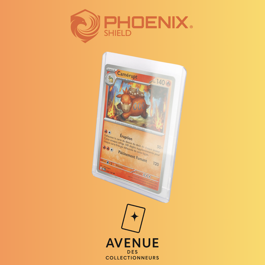 Toploader - Phoenix Shield - 25 Protèges Cartes rigides : Deluxe Toploader - Transparent Avenue des Collectionneurs