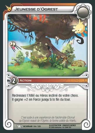Carte Wakfu - Jeunesse d'Ogrest - Incarnam 154/320