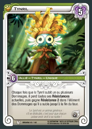 Carte Wakfu - Tynril - Amakna 042/162