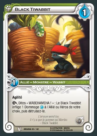 Carte Wakfu - Black Tiwabbit - Amakna 065/162