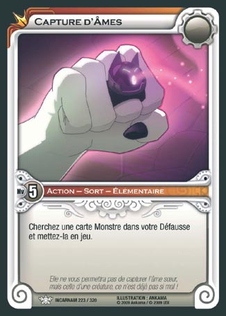 Carte Wakfu - Capture d'Âmes - Incarnam 223/320