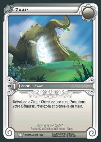 Carte Wakfu - Zaap - Incarnam 246/320